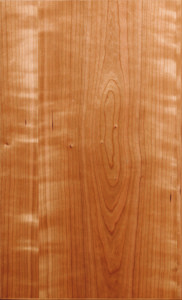 Door Style Image