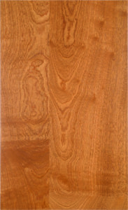 Door Style Image