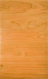 Door Style Image